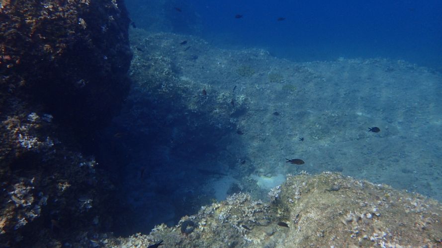 IMG_2222Ionian Diving